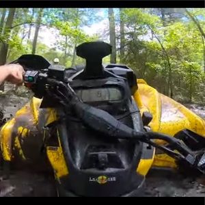 Meet your Posher, Wyatt